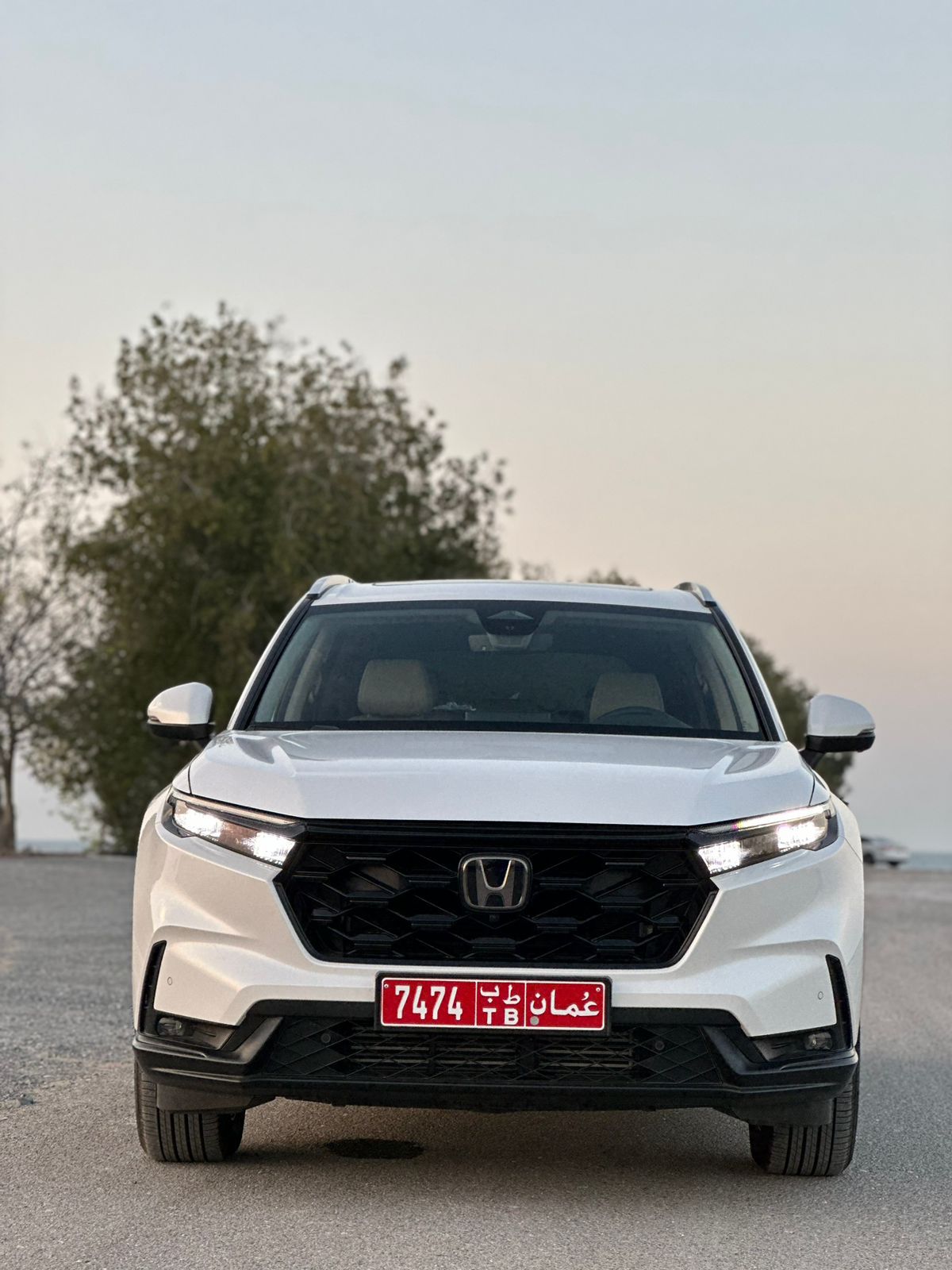 Looking for Omani Driver
