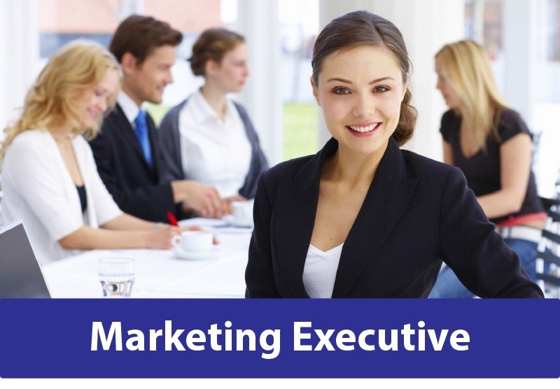 Sales and Marketing Executive (Part Time)